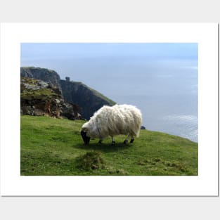 Ram Grazing on Slieve League, Ireland Posters and Art